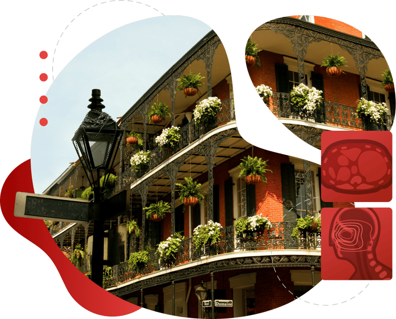 Nola-Hero-Img