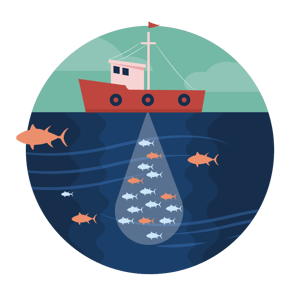 Measurement QA is not a Catch-All - TPS calculation errors are quite common and measurement-based QA has low sensitivity and specificity to catch these types of errors. Measurement QA is only well-suited to catch delivery errors.